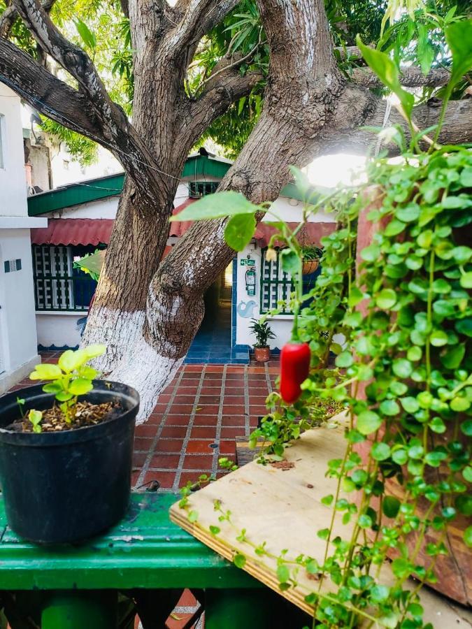 Tita'S Airport Hotel Cartagena Екстер'єр фото