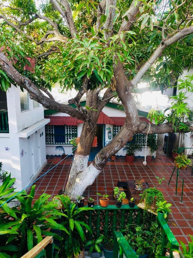 Tita'S Airport Hotel Cartagena Екстер'єр фото
